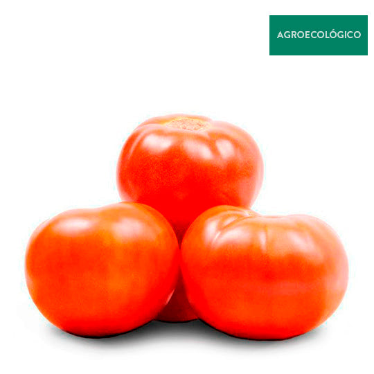 Jitomate Bola Agroecológico Por Kilo