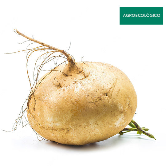 Jícama Agroecológica Por Kilo