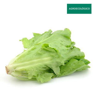 Lechuga Italiana Agroecológica Por Pieza