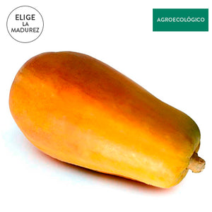 Papaya Agroecológica Por Pieza