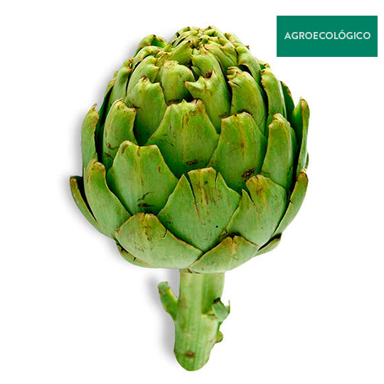 Alcachofa Agroecológica Por Pieza