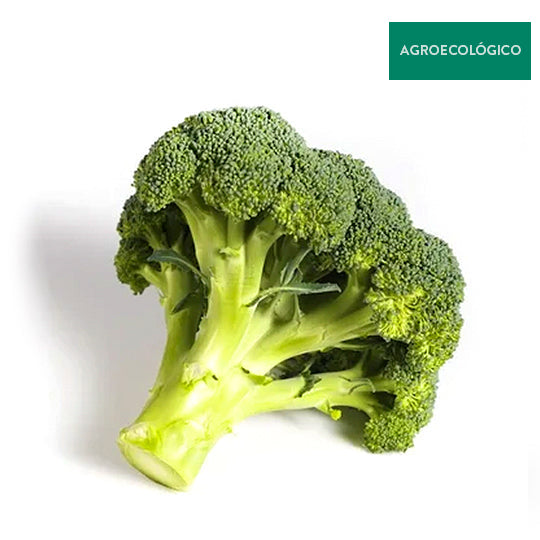 Brocoli Agroecológico Por Pieza