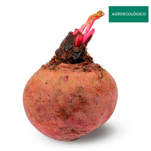 Betabel Agroecológico 500 g (2 a 3 pzs)