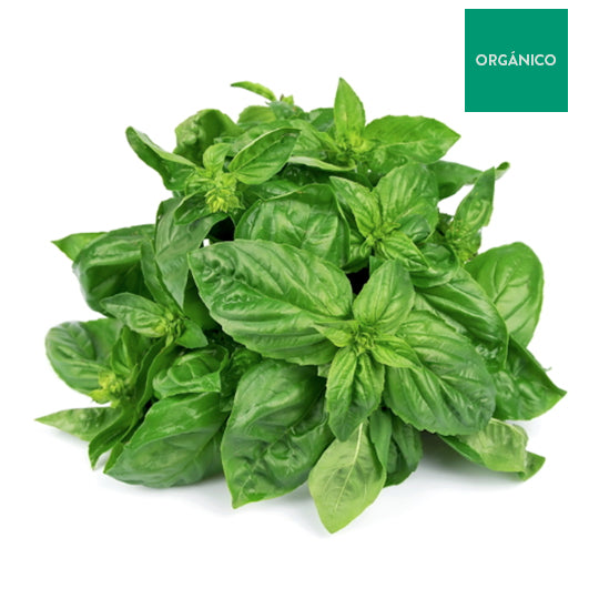 Albahaca Genovesa Orgánica 50 g