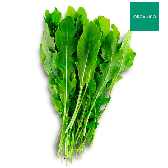 Arúgula Astro Orgánica 180 g