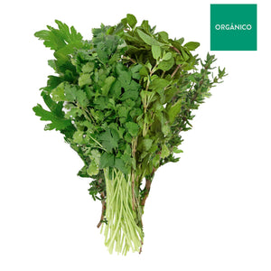 Cilantro, Perejil, Mejorana y Tomillo Orgánico, Bouquet