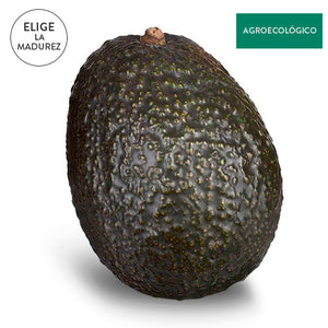 Aguacate Agroecológico 500 g