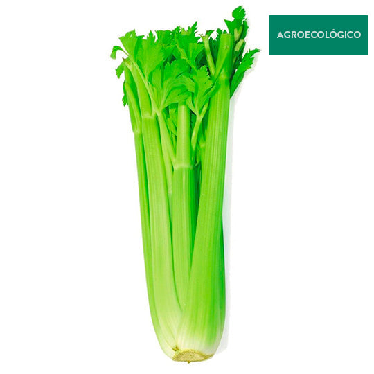 Apio Agroecológico Por Pieza
