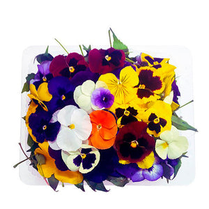 Flores Comestibles en Domo