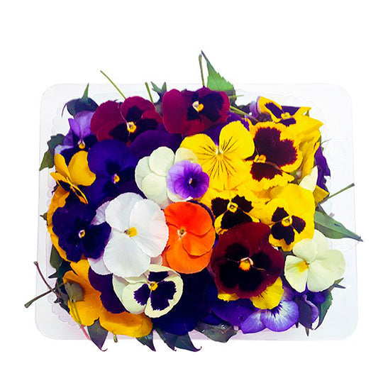 Flores Comestibles en Domo
