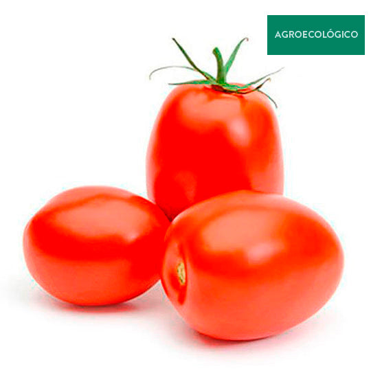 Jitomate Saladet Agroecológico 500 g