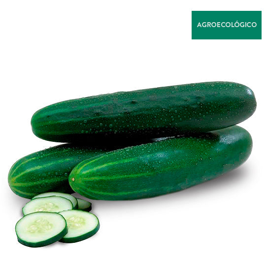 Pepino Agroecológico 500 g