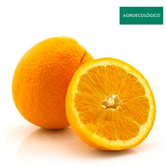 Naranja Agroecológica por Kilo