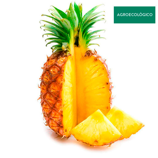 Piña Agroecológica Por Pieza