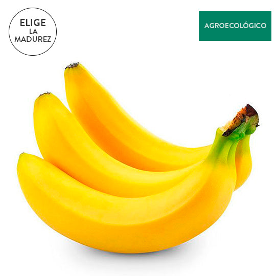 Plátano Tabasco Agroecológico Por Kilo