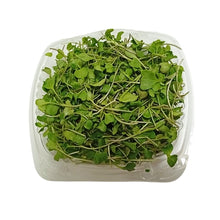 Cargar imagen en el visor de la galería, Brotes de Brócoli Domo 50 g