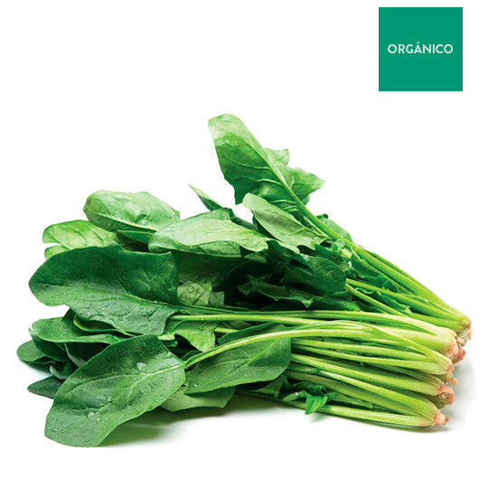Espinaca Popeye Orgánica 180 g