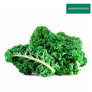 Kale Agroecológico 250 g
