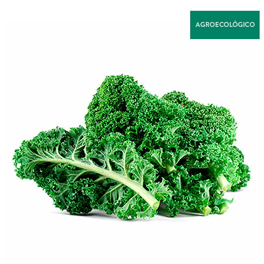 Kale Agroecológico 250 g