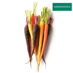 Zanahoria De Colores Agroecológica 500 g