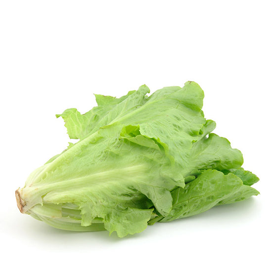 Lechuga Italiana Por Pieza