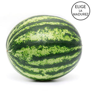Sandia Mediana 7 kg