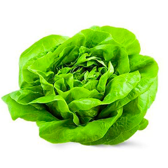 Lechuga Francesa Por Pieza