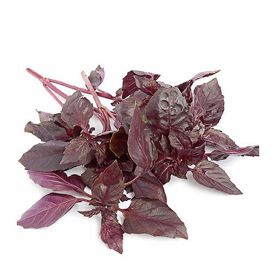 Albahaca Morada, Manojo 100 g