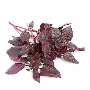Albahaca Morada, Manojo 100 g