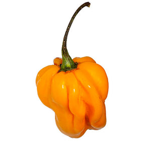 Chile Manzano 500 g