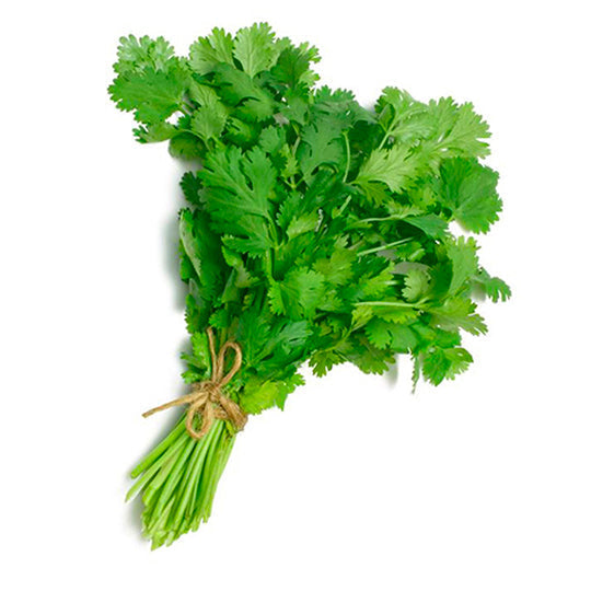 Cilantro 250 g