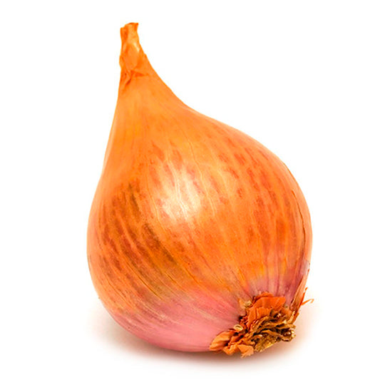Echalotte 250 g