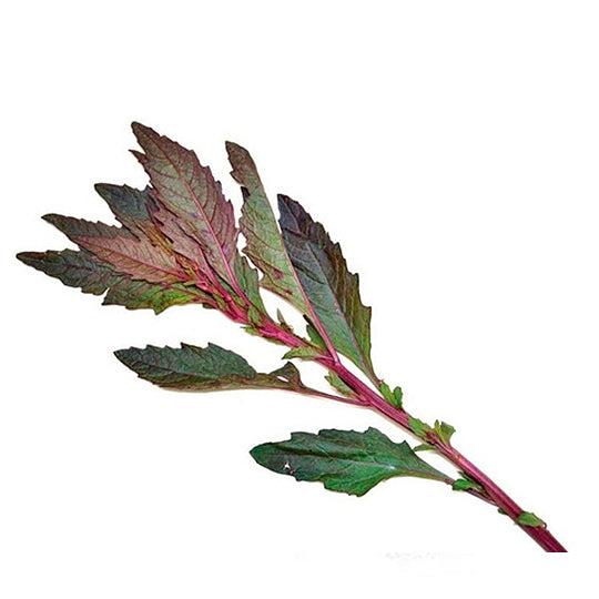 Epazote Morado 250 g