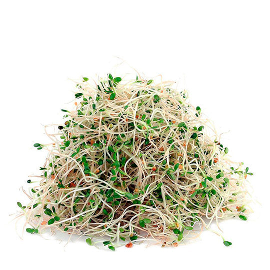 Germen de Alfalfa 200 g