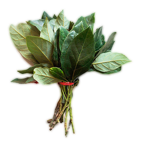 Hoja de Aguacate 100 g