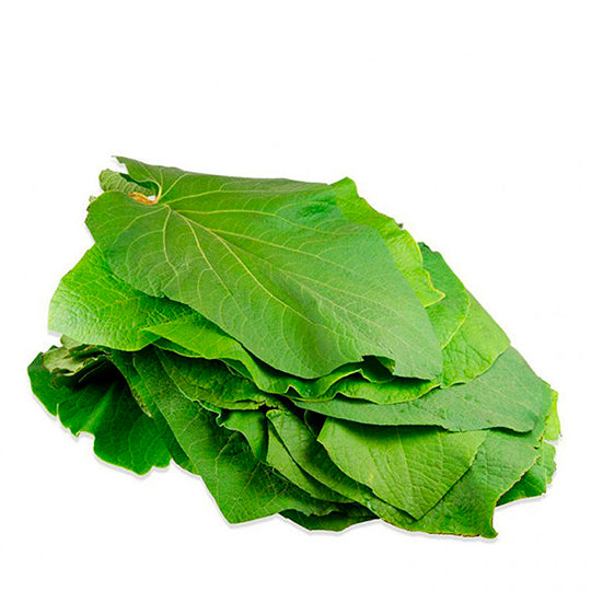 Hoja Santa por Pieza