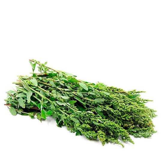 Huauzontle 250 g