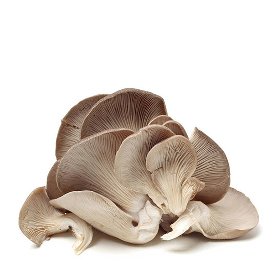 Setas 250 g