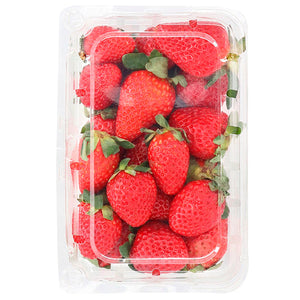 Fresa Domo 500 g