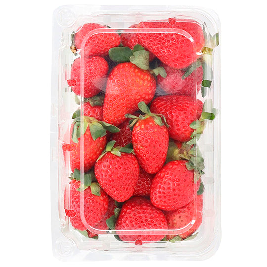 Fresa Domo 500 g