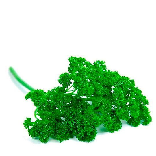 Perejil Chino 200 g