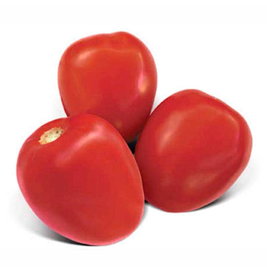 Jitomate para Moler 500 g